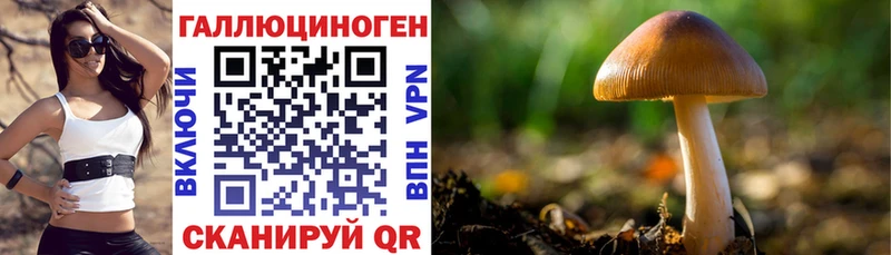 Купить закладки  Амурск  Галлюциногенные грибы мицелий 